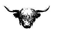 Highland cattle.jpg