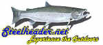 steelheader_site_logo.jpg